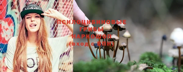таблы Кодинск